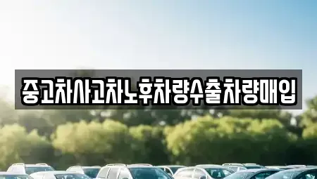 경기 여주시 상동 중고차매매 전문 중고차사고차노후차량수출차량매입