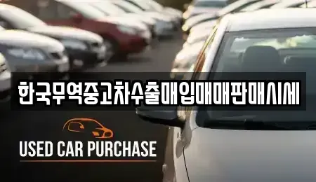 경기 여주시 상동 중고차매매 전문 한국무역중고차수출매입매매판매시세