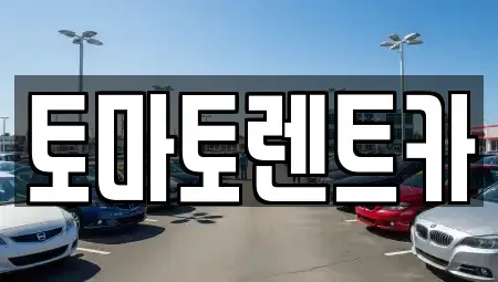 경기 여주시 창동 렌트카 전문 토마토렌트카