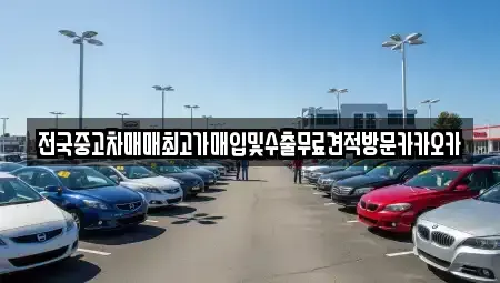 경기 여주시 창동 중고차매입 전문 전국중고차매매최고가매입및수출무료견적방문카카오카