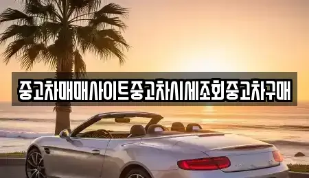 경기 연천군 장남면 중고차매매 전문 중고차매매사이트중고차시세조회중고차구매