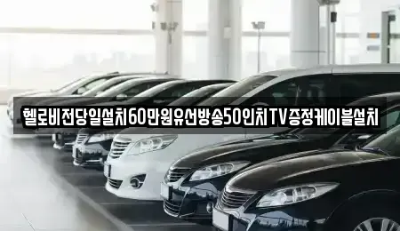 경기 연천군 장남면 중고차매입 전문 헬로비전당일설치60만원유선방송50인치TV증정케이블설치