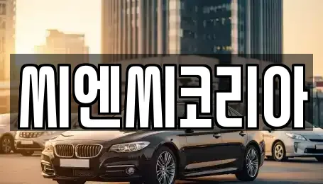 경기 오산시 단기렌트카 전문 씨엔씨코리아