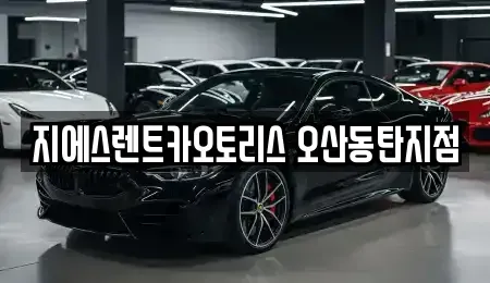 경기 오산시 렌트카 전문 지에스렌트카오토리스 오산동탄지점