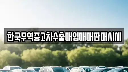 경기 이천시 사음동 중고차 전문 한국무역중고차수출매입매매판매시세
