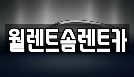 경기 이천시 안흥동 렌트카 전문 월렌트솜렌트카