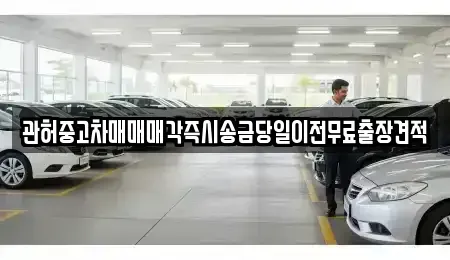 경기 파주시 연다산동 중고차 전문 관허중고차매매매각즉시송금당일이전무료출장견적