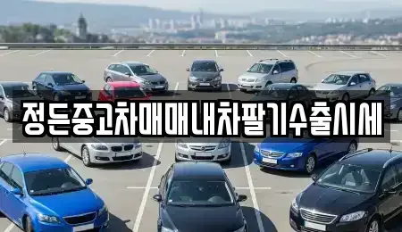 경기 파주시 연다산동 중고차 전문 정든중고차매매내차팔기수출시세