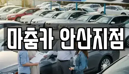 경기 화성시 새솔동 단기렌트카 전문 마춤카 안산지점