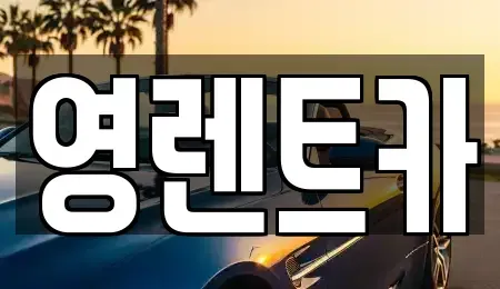 경기 화성시 새솔동 렌트카 전문 영렌트카