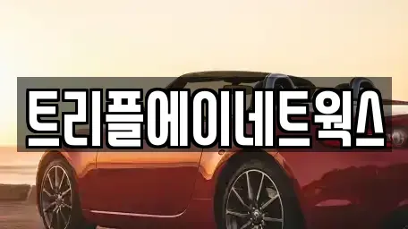 경기 화성시 새솔동 렌트카 전문 트리플에이네트웍스