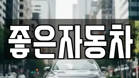 경기 화성시 새솔동 중고차 전문 좋은자동차