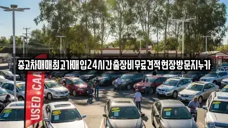 경기 화성시 새솔동 중고차매입 전문 중고차매매최고가매입24시간출장비무료견적현장방문지누카