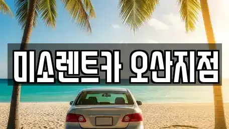 경기 화성시 정남면 렌트카 전문 미소렌트카 오산지점