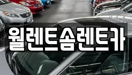 경기 화성시 정남면 렌트카 전문 월렌트솜렌트카