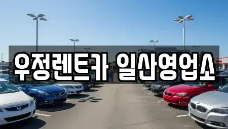 경기도 고양시 일산동구 렌트카 전문 우정렌트카 일산영업소