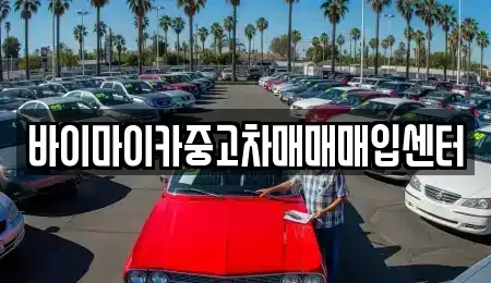 경기도 고양시 일산동구 설문동 중고차 전문 바이마이카중고차매매매입센터