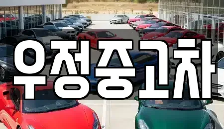 경기도 고양시 일산동구 설문동 중고차 전문 우정중고차
