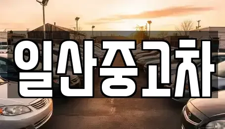 경기도 고양시 일산동구 설문동 중고차 전문 일산중고차