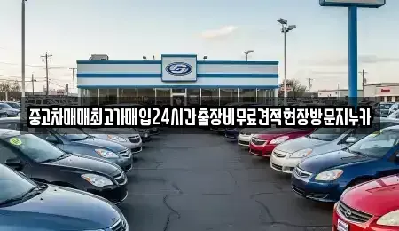 경기도 고양시 일산동구 설문동 중고차 전문 중고차매매최고가매입24시간출장비무료견적현장방문지누카