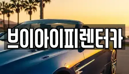 경기도 고양시 일산동구 성석동 렌트카 전문 브이아이피렌터카