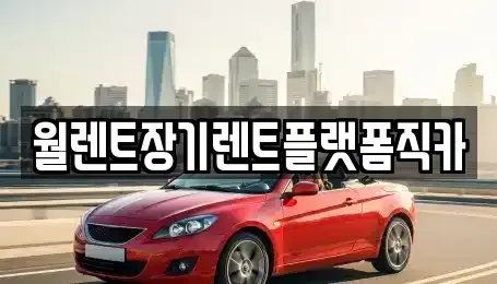 경기도 고양시 일산동구 성석동 장기렌트카 전문 월렌트장기렌트플랫폼직카