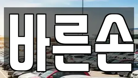 경기도 고양시 일산동구 성석동 중고차 전문 바른손