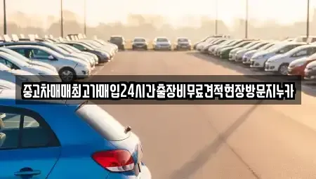 경기도 고양시 일산동구 성석동 중고차 전문 중고차매매최고가매입24시간출장비무료견적현장방문지누카