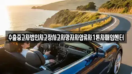 경기도 고양시 일산동구 성석동 중고차매입 전문 수출중고차법인차고장사고차망자차압류차1톤차매입센터