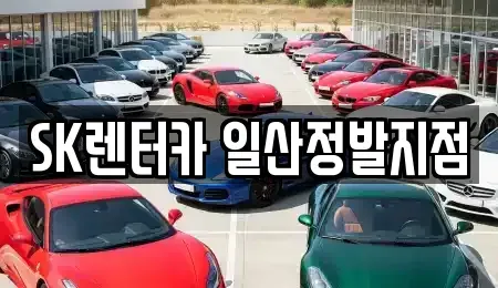 경기도 고양시 일산동구 장기렌트카 전문 SK렌터카 일산정발지점