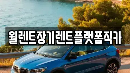 경기도 고양시 일산동구 장기렌트카 전문 월렌트장기렌트플랫폼직카