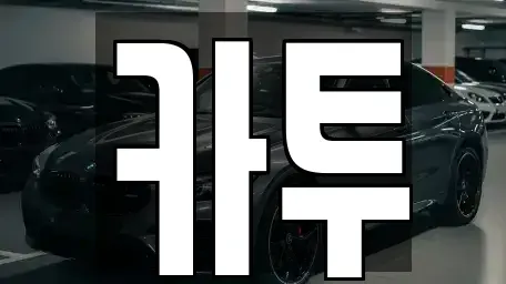 경기도 고양시 일산동구 장기렌트카 전문 카투