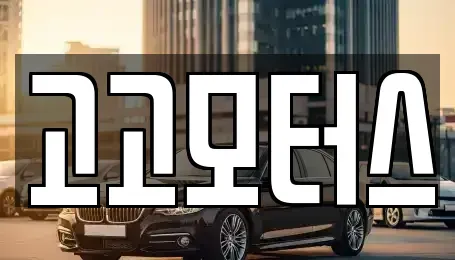경기도 고양시 일산동구 중고차 전문 고고모터스
