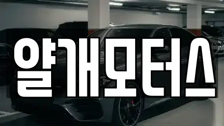 경기도 고양시 일산동구 중고차 전문 얄개모터스