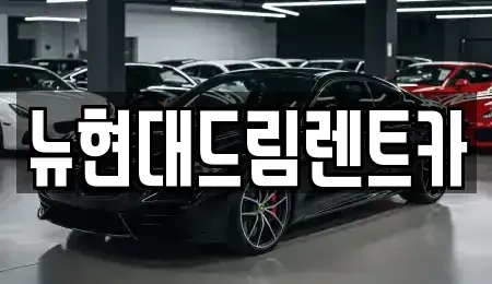 경기도 과천시 중앙동 렌트카 전문 뉴현대드림렌트카