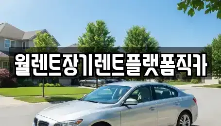 경기도 과천시 중앙동 장기렌트카 전문 월렌트장기렌트플랫폼직카