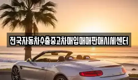 경기도 과천시 중앙동 중고차매매 전문 전국자동차수출중고차매입매매판매시세센터
