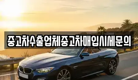 경기도 과천시 중앙동 중고차매입 전문 중고차수출업체중고차매입시세문의