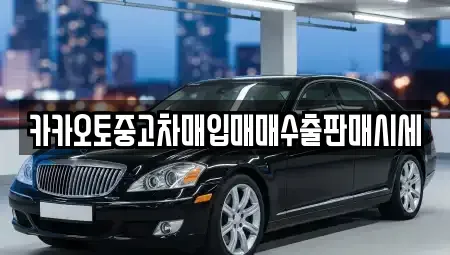 경기도 과천시 중앙동 중고차매입 전문 카카오토중고차매입매매수출판매시세