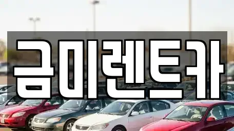 경기도 광명시 옥길동 렌트카 전문 금미렌트카