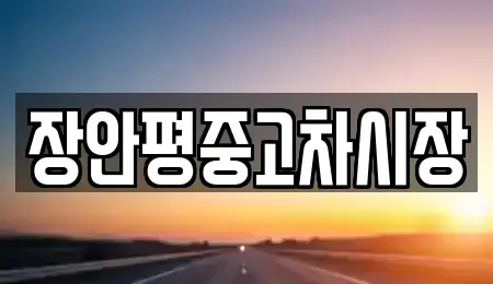 경기도 광명시 옥길동 중고차 전문 장안평중고차시장