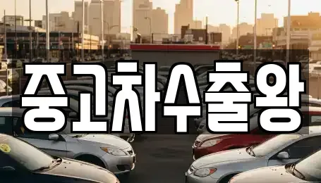 경기도 광명시 옥길동 중고차 전문 중고차수출왕