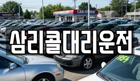 경기도 광주시 중대동 렌트카 전문 삼리콜대리운전