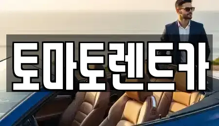 경기도 광주시 중대동 렌트카 전문 토마토렌트카