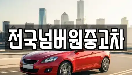 경기도 광주시 중대동 중고차매매 전문 전국넘버원중고차