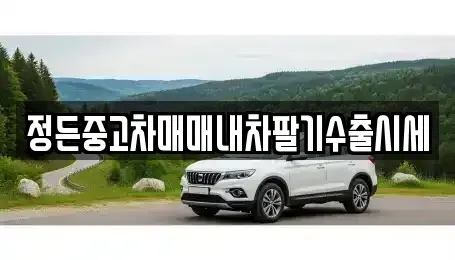 경기도 광주시 중대동 중고차매매 전문 정든중고차매매내차팔기수출시세