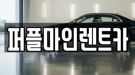 경기도 구리시 아천동 렌트카 전문 퍼플마인렌트카