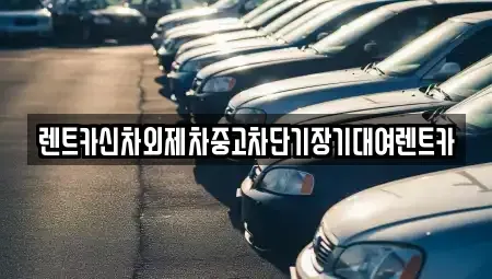 경기도 구리시 아천동 장기렌트카 전문 렌트카신차외제차중고차단기장기대여렌트카