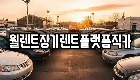 경기도 구리시 아천동 장기렌트카 전문 월렌트장기렌트플랫폼직카