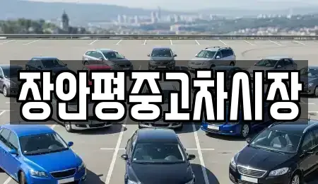 경기도 구리시 아천동 중고차 전문 장안평중고차시장